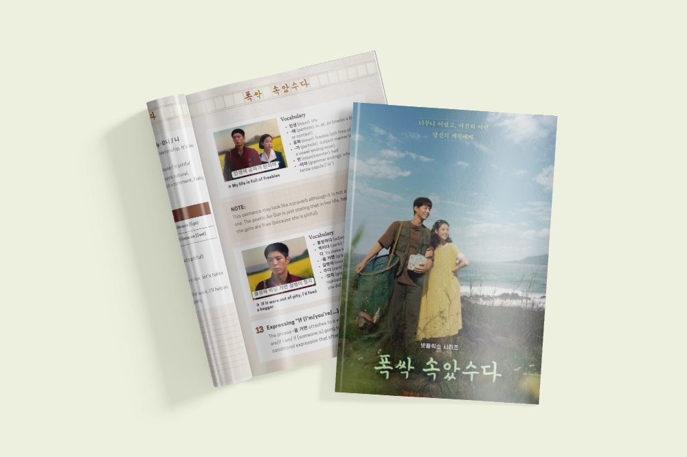 WHEN LIFE GIVES YOU TANGERINES - Korean Study Guide